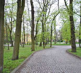 Park pałacowy