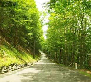 Juli Abfahrt bei Königswetter