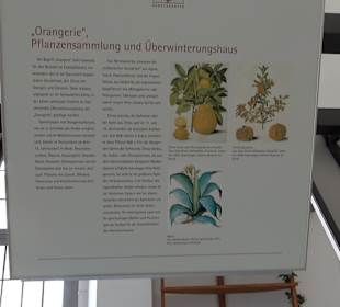 Orangerie Schloss Favorite