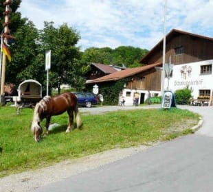Schmugglerhof mit Pferd