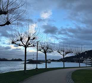 Fähre Bingen-Rüdesheim
