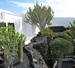 Fundacion Cesar Manrique