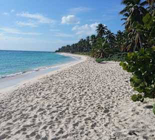 Insel-Ausflug mit Seavis