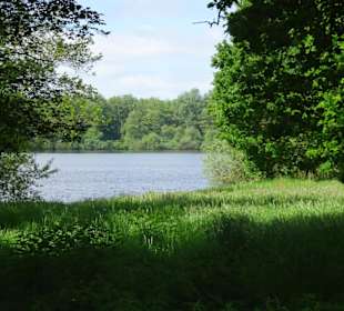 Impressionen vom Rundgang um den Tweelbäker See