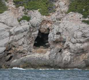 Katamaran Ausflug, Cala Ratjada