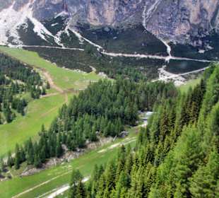 Blick in das Edelweisstal