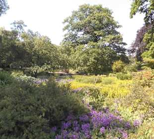 Parkanlage Planten un Blomen