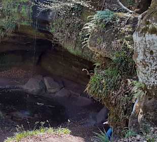 Bärenhöhle in Rodalben