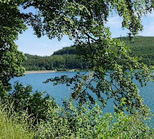 Hennesee