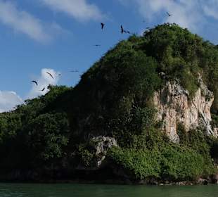 Los Haitises Nationalpark