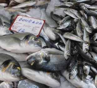 Marktbesuch in Loulé