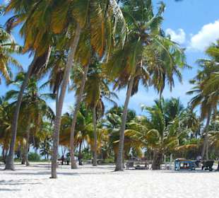 Vom Strand in die Insel Saona