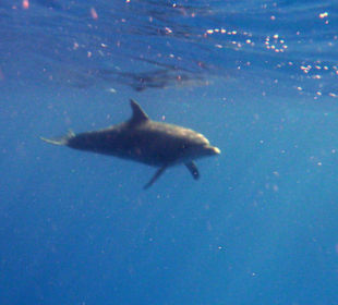 Na, wen haben wir denn da?