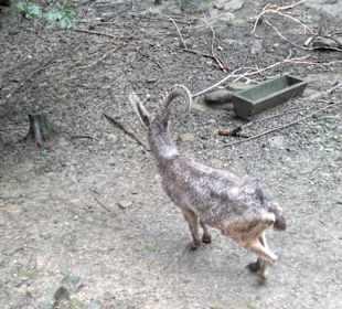 Zoo Olomouc