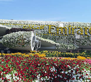 Dubai Miracle Garden