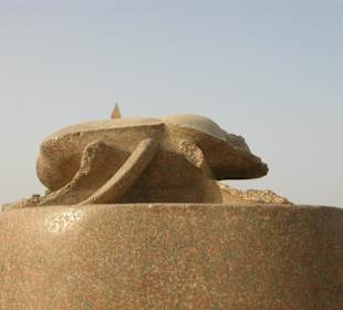 Жук Скоробей