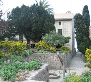 Miramar - Gartenansicht