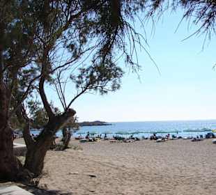 Strand bei Paleochora