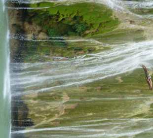 Sprung aus der Höhe