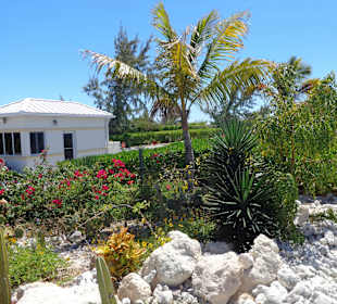 Tolle Gartenanlage im Terminal