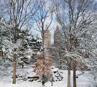 Central Park im Winter 