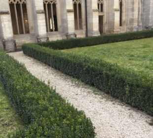 Gewürz- und Kräutergarten