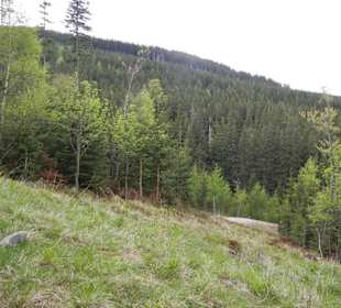 Karkonoski Park Narodowy