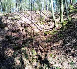 Wanderweg Sagenhafter Waldpfad Landstuhl
