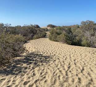 Mirador Dunas Santa Mónica