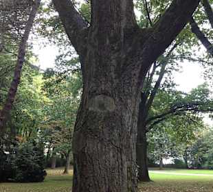 Nahegelegener Farwick-Park