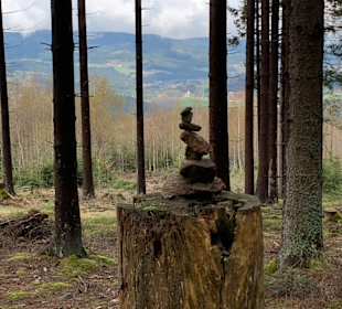 Wandern Drachselsried