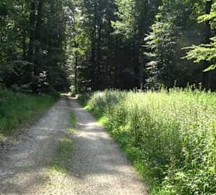 Waldlehrpfad St. Johann