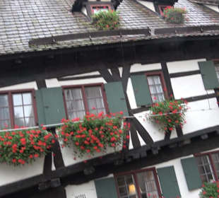 Schiefes Haus Ulm