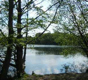 Naturschutzgebiet Boberger Niederung