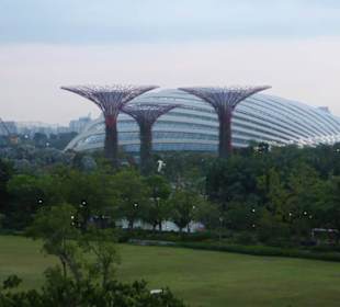 Gardens by the Bay