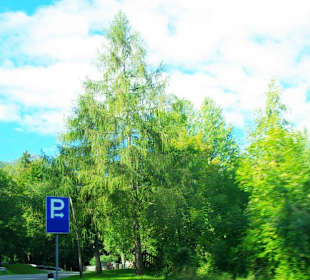 Hier mal Parken, der beste Ausblick