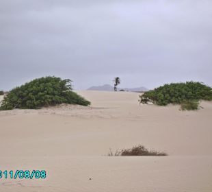 Die Wüste Süd-Tour