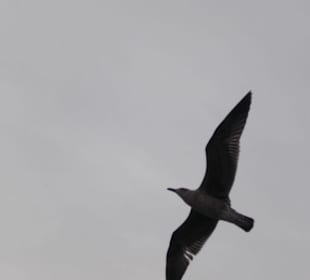 Ausflugsfahrt mit der WEGA 2