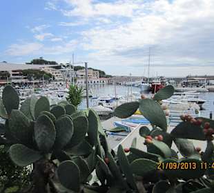Hafen von Cala Radjada