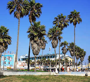 Venice Beach