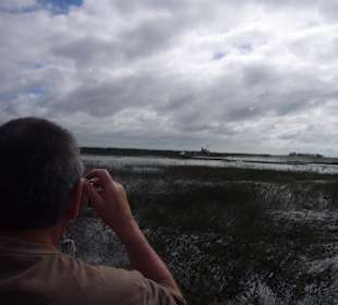 Wo sind denn die Krokodile?