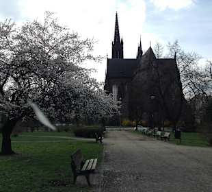 Park Stanisława Tołpy