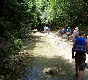 Durch den Mongrovenwald zu den Wasserfällen