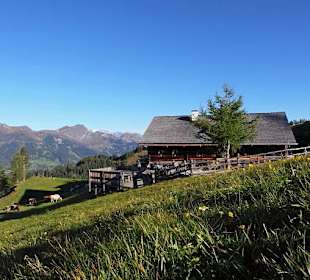 Bichlalm in Großarl