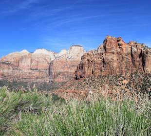 Im Zion Nationalpark