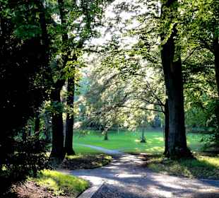 Morgenspaziergang über die Schillerwiese
