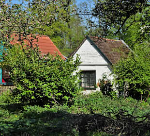 Rundgang durch die Dauerkolonie Annateich