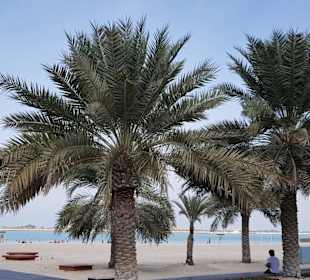 Corniche Beach	