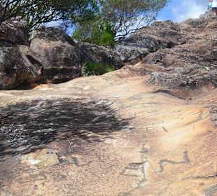 Slippery path