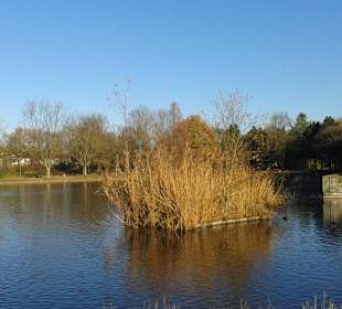 Seblick